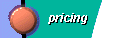  Pricing 
